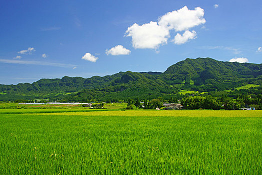 聊城住家保姆費用分析與選擇指南