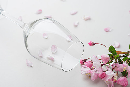 上海保姆多少錢一個(gè)月？揭秘上海家庭保姆服務(wù)的費(fèi)用與選擇