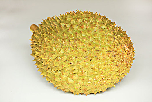 長春月嫂月工資多少？揭秘月嫂行業的薪資趨勢和發展前景