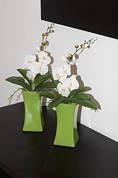 成都鐘點(diǎn)工做飯多少錢(qián)？了解這些價(jià)格，讓您的生活更便捷！
