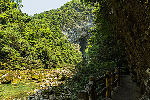 武漢有多少名月嫂？解密武漢月嫂行業的現狀與前景