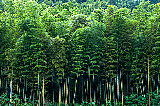 沈陽(yáng)新手育兒嫂工資多少？你需要了解的真相