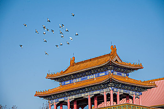 長(zhǎng)沙的保姆多少錢(qián)一月？揭秘保姆費(fèi)用與選擇指南