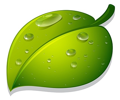 選擇d翹睫毛，享受美麗與自信——揭開d翹睫毛的神秘面紗