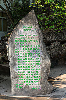 陰陽師晴雅集投資多少錢？深度解析游戲投資的潛力與回報