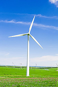 溫暖的抱抱：電影票房的奇跡與感動