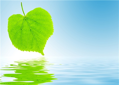在欽州請(qǐng)一個(gè)保姆多少錢？幫您解答選擇合適保姆的所有問題！