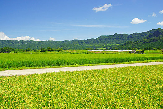 福州洗洗衣機(jī)多少錢一個(gè)？揭秘福州市場(chǎng)的洗衣機(jī)價(jià)格與購買技巧