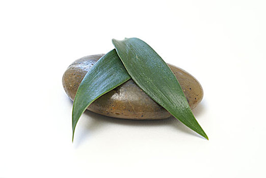 月嫂培訓(xùn)要多少錢？你值得了解的培訓(xùn)費(fèi)用和市場前景！