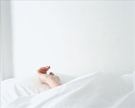 北京有多少家家政？深入了解北京家政行業的規模與發展潛力