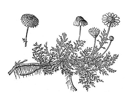鐘點(diǎn)多少錢一個(gè)小時(shí)？揭秘高效勞務(wù)市場(chǎng)，如何實(shí)現(xiàn)高質(zhì)量服務(wù)與價(jià)值最大化！