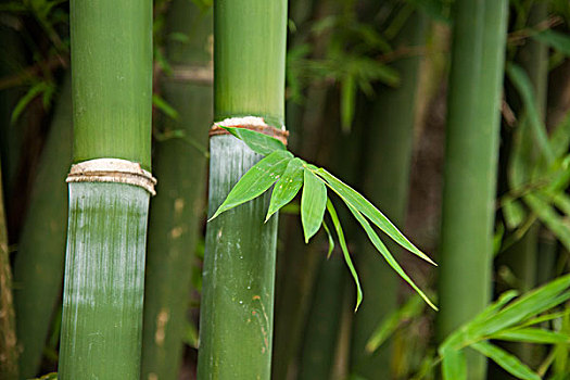 《緊急救援》票房破億，英雄歸來再續傳奇