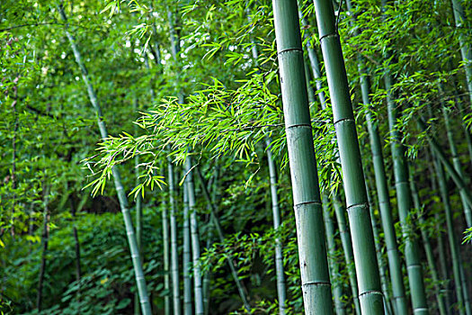 保姆工作一般是多少歲？選擇適合年齡的保姆，給家人最好的關(guān)懷