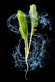 長樂保姆站電話多少錢？一站式服務(wù)解鎖您的生活新方式！