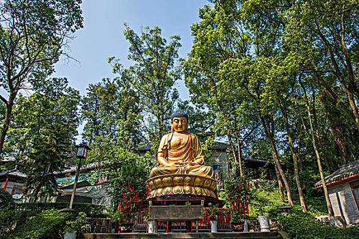 金華保姆市場價(jià)揭秘：你需要了解的真實(shí)價(jià)格與選擇