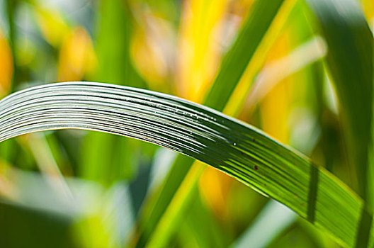 家政師證多少錢(qián)一個(gè)月？讓你了解家政行業(yè)的收入與前景