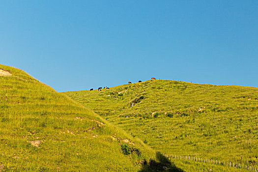 青島月嫂工資多少錢？揭秘青島月嫂市場的真實情況