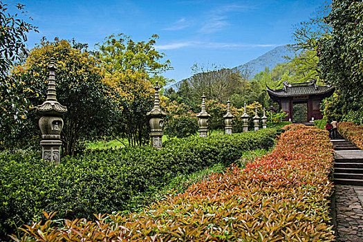 北京住家保姆月薪揭秘：高薪背后的需求與機遇