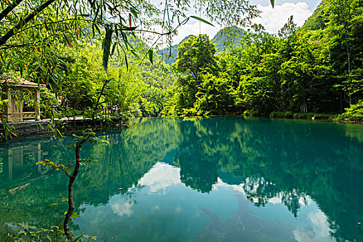 東營(yíng)保姆大約多少錢(qián)？為你解析保姆服務(wù)費(fèi)用背后的秘密