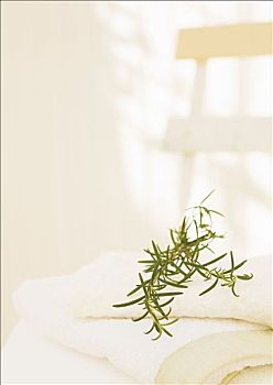 《唐人街探案3》票房暴漲，創造中國影史新紀錄！