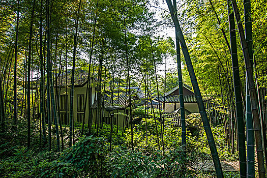 龍崗住家保姆費用多少錢？選擇住家保姆的最優方案解析