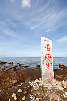 家政洗碗服務：讓生活更輕松，價格超乎你的想象！