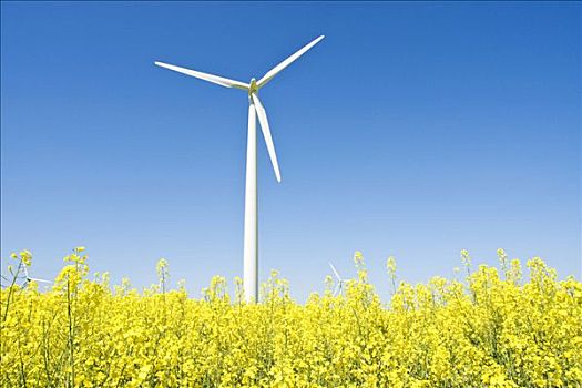 深圳家庭保姆工資多少？2025年最新薪資趨勢揭秘！