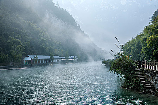 月半愛麗絲：電影投資與潛力分析