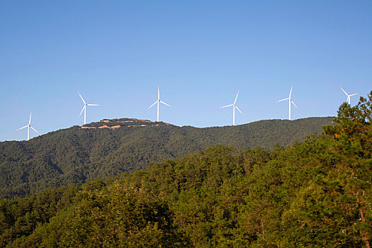 深圳當保姆一個月多少錢？揭秘深圳保姆市場的真實價格與行業內幕