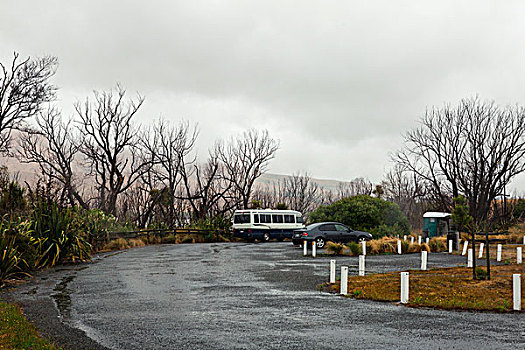 衢州住家保姆多少錢？輕松了解雇傭住家保姆的費用與選擇技巧
