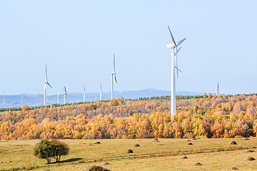 廈門家政公司電話多少？為您解答一站式家政服務的需求