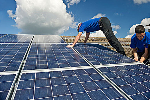 豬屠電影制作成本是多少？揭秘背后的巨額投資