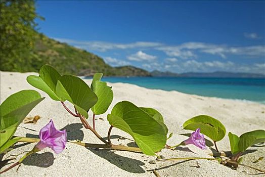 沐浴之王預計成本多少錢？揭秘奢華沐浴體驗的背后