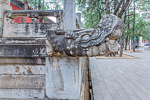 高級(jí)月嫂多少錢？揭秘月嫂行業(yè)的收費(fèi)標(biāo)準(zhǔn)與服務(wù)價(jià)值
