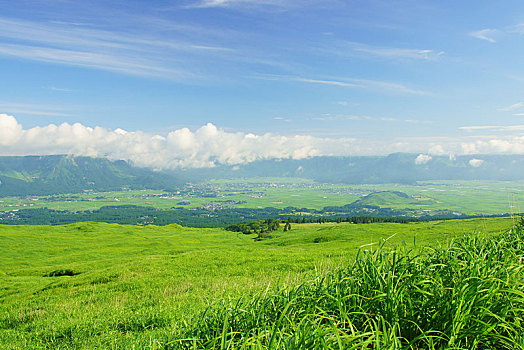 開(kāi)業(yè)大麥多少錢(qián)？解鎖創(chuàng)業(yè)必備的開(kāi)業(yè)籌備預(yù)算！