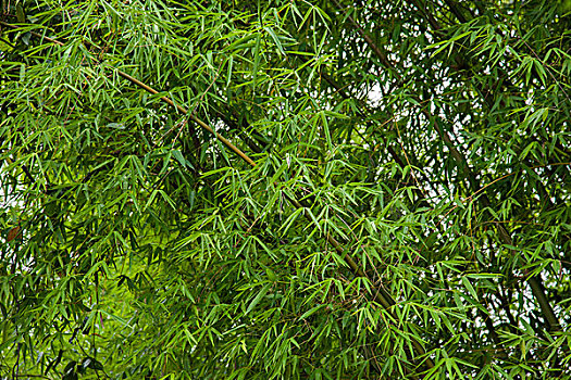 湖里拆裝空調(diào)多少錢？空調(diào)拆裝費(fèi)用全解析