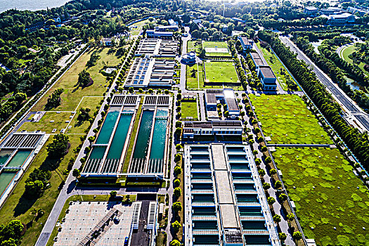 上海住家保姆多少錢一斤？深入分析上海住家保姆價格背后的秘密