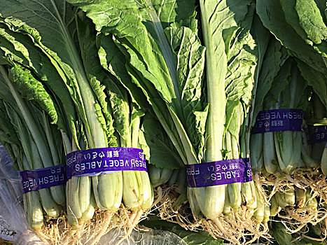 奢華美甲多少錢？讓美麗與優雅盡顯指尖的秘訣