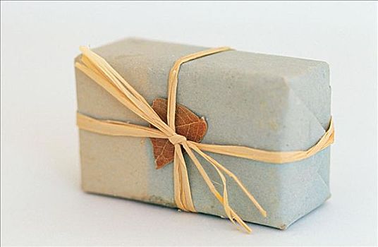 杭州育兒嫂工資多少？揭秘杭州育兒嫂行業(yè)的薪資待遇與趨勢