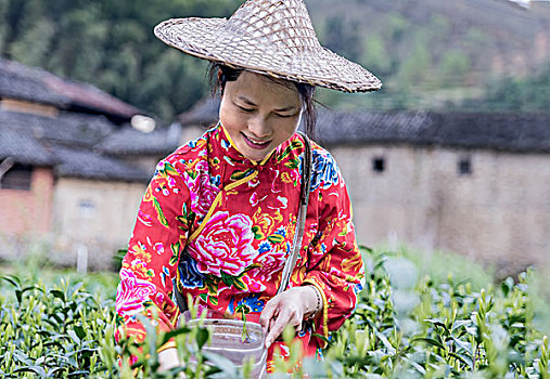 家政公司一個(gè)小時(shí)多少錢？揭秘家政服務(wù)背后的價(jià)值