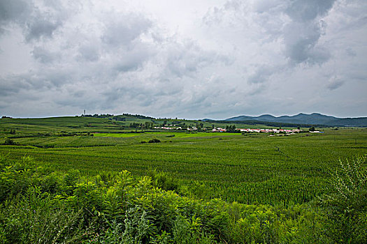 濟(jì)南請(qǐng)個(gè)保姆多少錢？一文帶你了解保姆價(jià)格的背后秘密