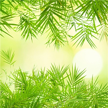 家政服務(wù)行業(yè)薪資揭秘：你不可忽視的高薪潛力