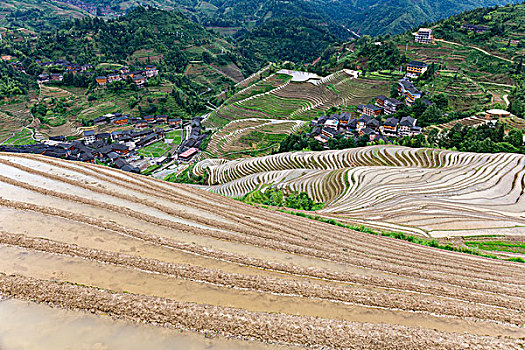 住家保姆上海多少錢？揭秘上海住家保姆的真實費用與選擇
