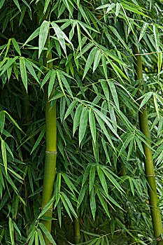 月嫂工資大揭秘：你知道現(xiàn)在月嫂的工資是多少嗎？