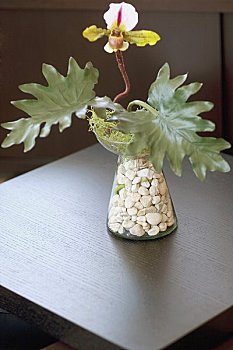 成都月子中心多少錢一周？探尋性價比高的月子中心