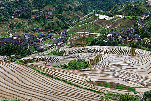 福清月嫂多少錢？了解月嫂服務(wù)市場(chǎng)，給您最實(shí)用的選擇建議