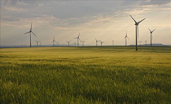 《唐探3》中國電影投資揭秘：一場超級大片的背后資金盛宴