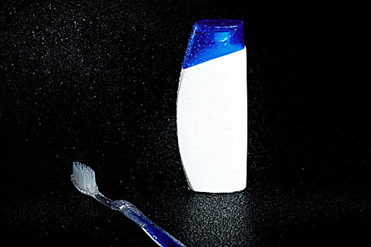 月半愛麗絲投了多少錢？揭秘投資背后的智慧與決策