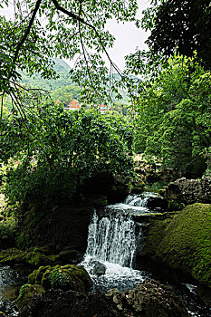 醫(yī)院的陪護(hù)工多少錢？讓您了解醫(yī)院陪護(hù)服務(wù)的真正價值