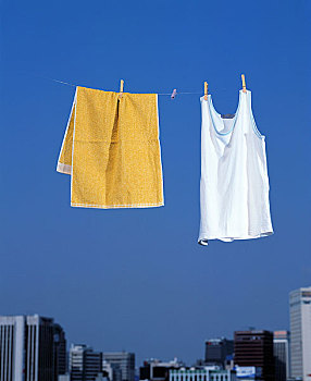 閔行區家政管家服務：讓您的生活更輕松，品質更高